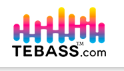 Tebass logo