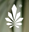 Ninerealms logo